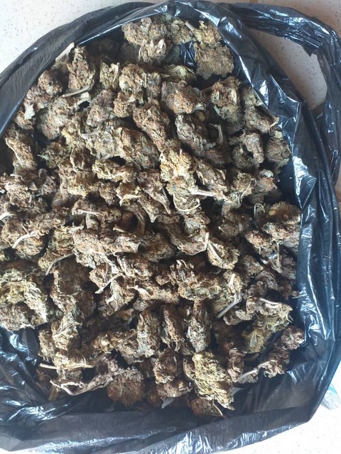 Une spécialiste de la vente de drogue aux arrêts