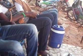 Ça se passe au Grin : Tout et son contraire