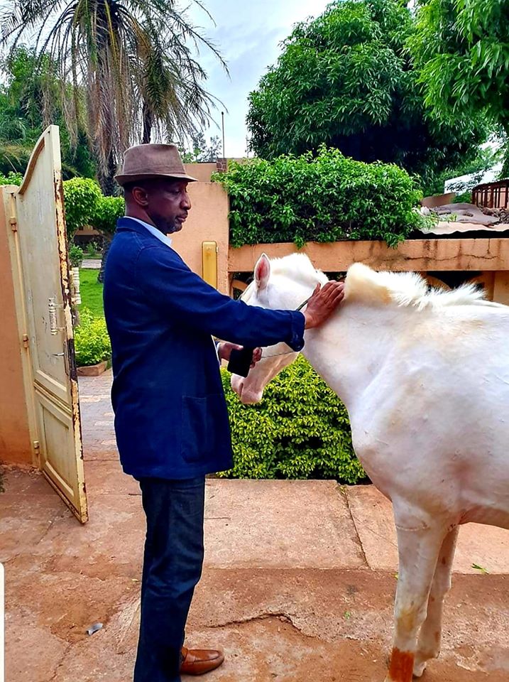 Affaire du marché public paramount : montage politique ou erreur judiciaire ?